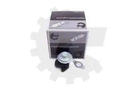 zawor-egr-fiat-scudo-ulysse-skv