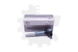 cewka-zaplonowa-ford-f-150-mustang-5-0-skv