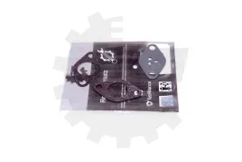 zestaw-naprawczy-zaworu-egr-alfa-romeo-lancia-skv