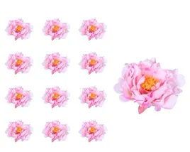 peonia-glowka-kremowo-rozowy-12-sztuk