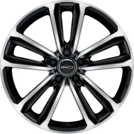 nowe-alufelgi-15-do-byd-dolphin-surf-eqe-2