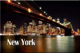 magnes-na-lodowke-usa-stany-new-york-nowy-jork-ms-magampn-0008