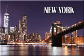 magnes-na-lodowke-usa-stany-new-york-nowy-jork-ms-magampn-0009