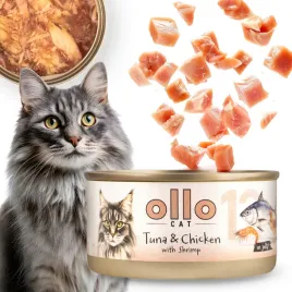 ollo-cat-nr-12-mokra-karma-dla-kota-kociat-tunczyk-kurczak-krewetki-70g