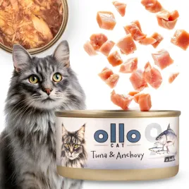 ollo-cat-nr-9-naturalna-mokra-karma-dla-kota-kociat-tunczyk-anchovy-70g