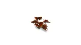 gamers-grass-laser-plants-alien-flytrap-kod-producenta-gglp-af