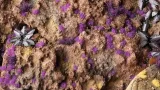 gamers-grass-tiny-tufts-2-mm-alien-purple-stan-nowy