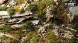 gamers-grass-tuft-starter-boxes-green-grass-stan-nowy