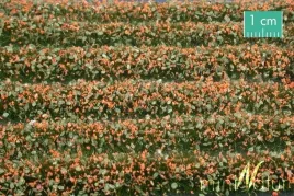 mininatur-tuft-paski-kwitnacych-pomaranczowych-roslin-336-cm