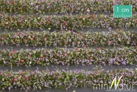 mininatur-tuft-paski-kwitnacych-fioletowych-roslin-336-cm