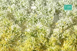 mininatur-tuft-wiosenna-kwitnaca-roslinnosc-2-42x15-cm