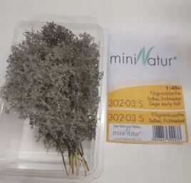 mininatur-filigranowy-wczesnojesienny-krzew-szalwii