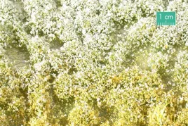 mininatur-tuft-wiosenna-kwitnaca-roslinnosc-1-15x4-cm