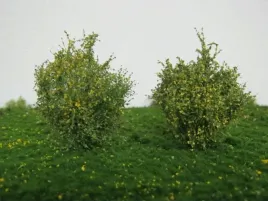 mininatur-wiosenne-krzewy-5-cm-2-szt