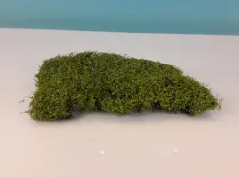 mininatur-wiosenny-zywoplot-12x14-cm