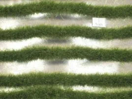 mininatur-tuft-dluga-wczesnojesienna-trawa-w-paskach-67-cm