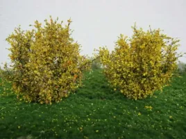 mininatur-poznojesienne-krzewy-5-cm-2-szt