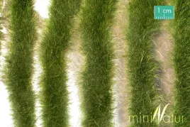 mininatur-tuft-dluga-wczesnojesienna-trawa-w-paskach-252-cm