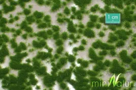 mininatur-tuft-krotka-letnia-trawa-15x4-cm