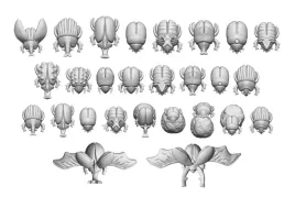 3d-printed-set-egyptian-scarabs-skarabeusze-27-szt