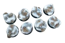 winter-shale-bases-32mm-podstawki-okragle-4szt