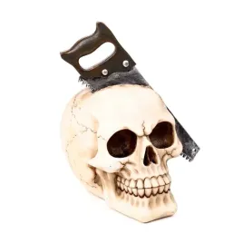 przepilowana-czaszka-skull-18cm