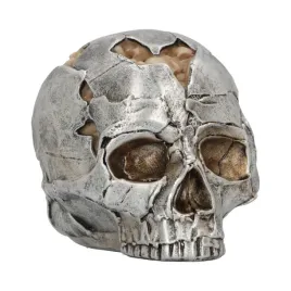czaszka-small-alternative-fracture-skull-11cm