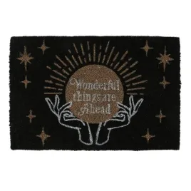 wycieraczka-z-wlokna-kokosowego-fortune-teller