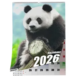 kalendarz-a3-panda-13-stronny-zaznaczone-swieta-scienny