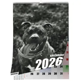 kalendarz-a3-pitbull-13-stronny-zaznaczone-swieta-scienny