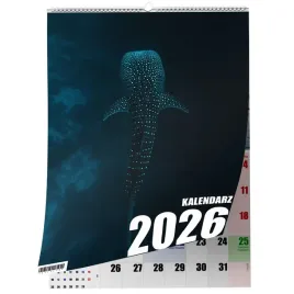kalendarz-a3-rekin-13-stronny-zaznaczone-swieta-scienny