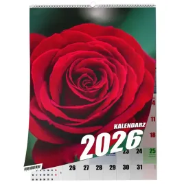 kalendarz-a3-roza-13-stronny-zaznaczone-swieta-scienny