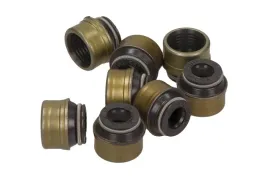 victor-reinz-zestaw-uszczelniaczy-trzonek-zaworu-fiat-20jtd