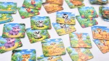 gra-pamiec-zoo-multigra-marka-multigra