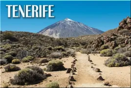 teneryfa-park-narodowy-teide-gory-krajobraz-magnes-na-lodowke