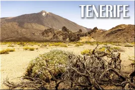 teneryfa-park-narodowy-teide-gory-krajobraz-magnes-na-lodowke