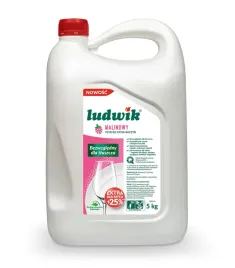 ludwik-plyn-do-mycia-naczyn-zapas-malinowy-5-l