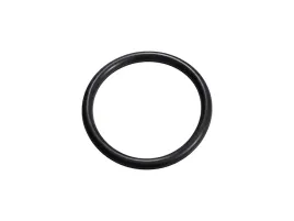 o-ring-30x365mm-sfa1000-sfa600-uszczelniacz-filtra