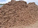 kora-sosnowa-swieza-niesortowana-50l-paleta-40-szt-frakcja-0-100-mm-stan-nowy-rodzaj-sosnowa