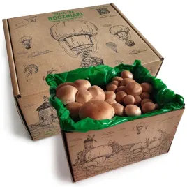 pieczarka-brazowagrzybnia-do-uprawy-domowej-5-kg-firmy-smaki-na-boczniaki