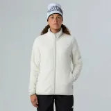 glacier-marka-the-north-face-kod-producenta-nf0a8d2fqli
