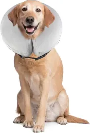 obroza-dla-psa-materialowa-pet-sppties-r-l