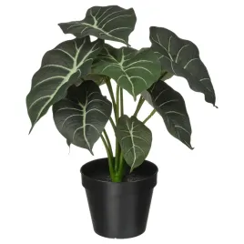 ikea-fejka-sztuczna-roslina-doniczkowa-alocasia-zielona-12-cm