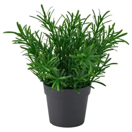 ikea-fejka-sztuczna-roslina-doniczkowa-rozmaryn-zielony-9-cm