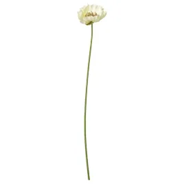 ikea-smycka-sztuczny-kwiat-mak-bialy-51-cm-do-wewnatrz-zewnatrz