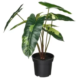 ikea-fejka-sztuczna-roslina-doniczkowa-filodendron-15-cm-zielony