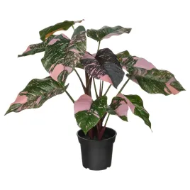 ikea-fejka-sztuczna-roslina-doniczkowa-filodendron-15-cm-zielony