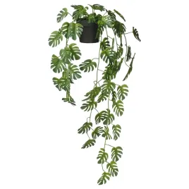 ikea-fejka-sztuczna-roslina-wiszaca-monstera-zielona-9-cm