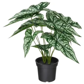 ikea-fejka-sztuczna-roslina-doniczkowa-cercestis-mirabilis-15-cm