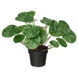 ikea-fejka-sztuczna-roslina-doniczkowa-pilea-zielona-9-cm